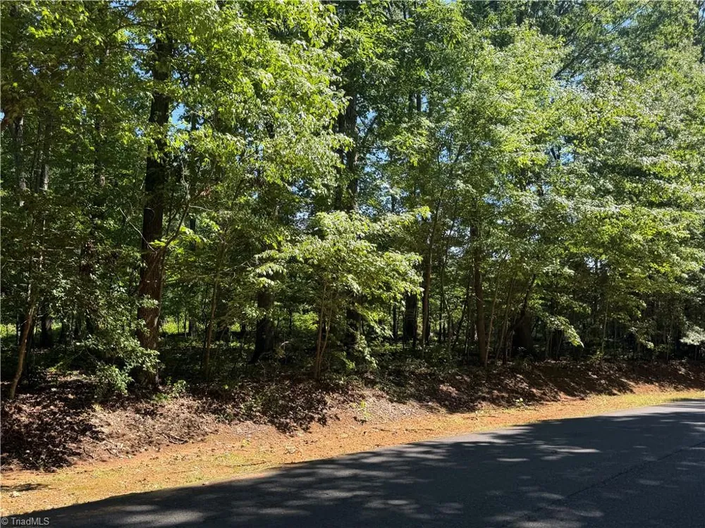 0 Pine Forest Drive S Siler City, NC 27344
