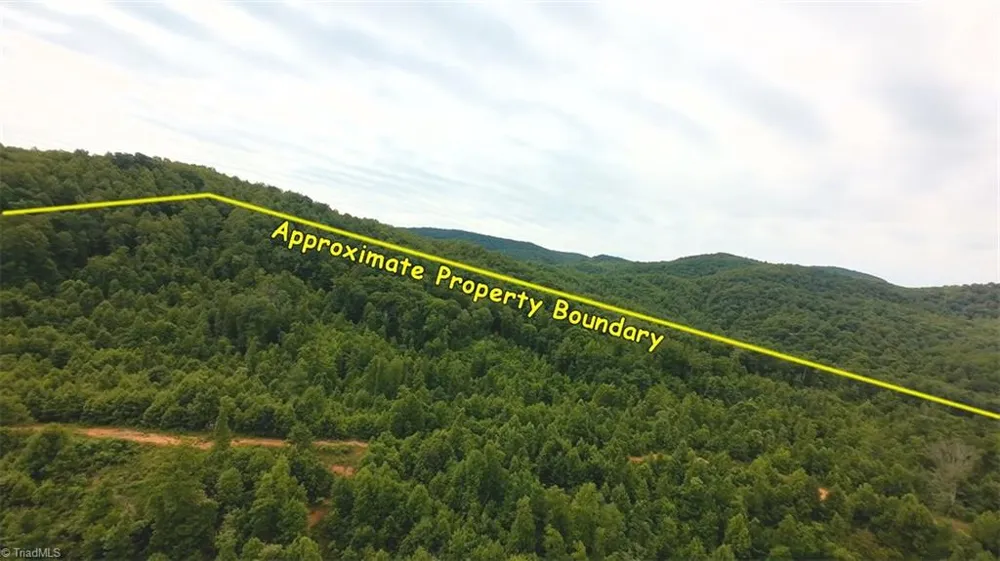 2001 Tom Dula Road Ferguson, NC 28624
