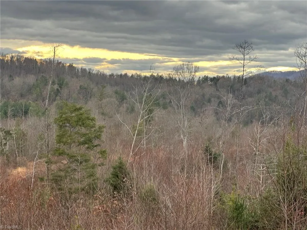 2001 Tom Dula Road Ferguson, NC 28624