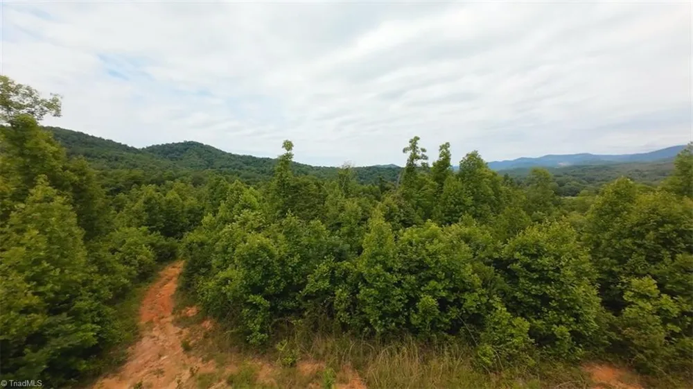 2001 Tom Dula Road Ferguson, NC 28624