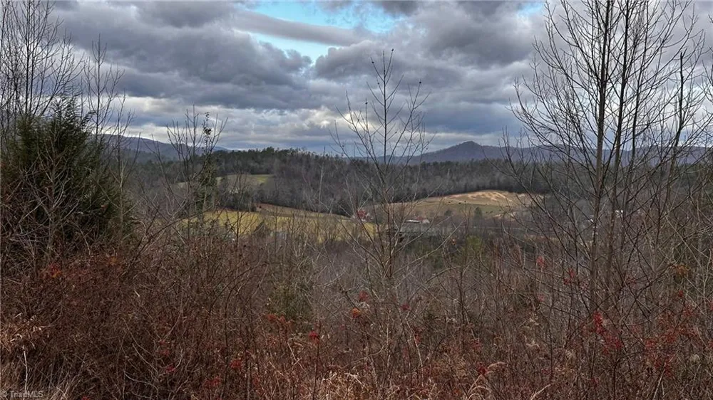 2001 Tom Dula Road Ferguson, NC 28624