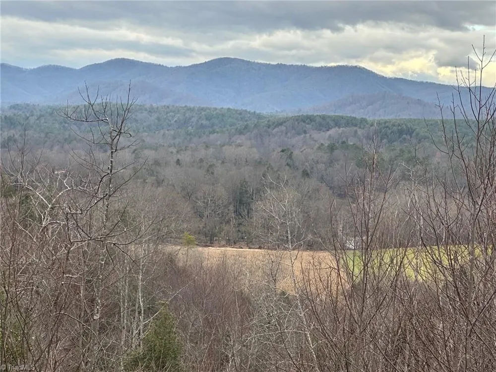 2001 Tom Dula Road Ferguson, NC 28624