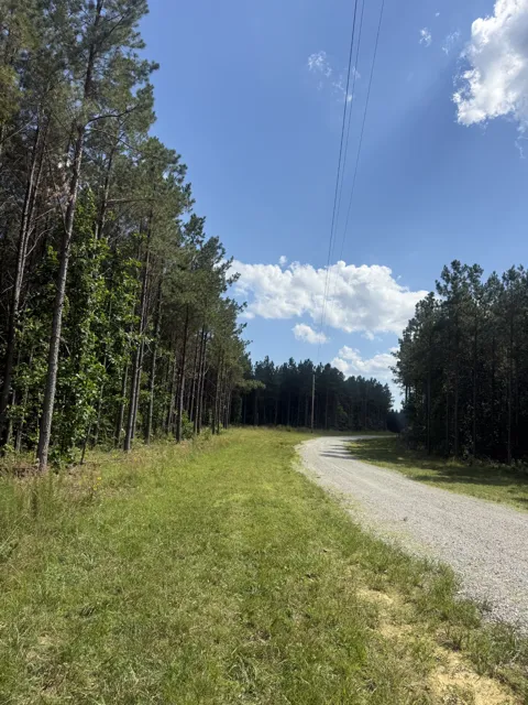 251 Fox Ridge Rd