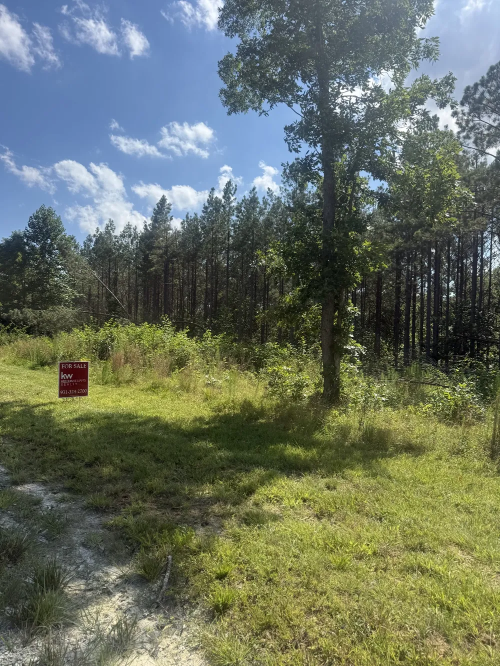 251 Fox Ridge Rd Hohenwald, TN 38462