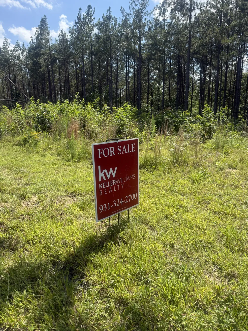 251 Fox Ridge Rd Hohenwald, TN 38462