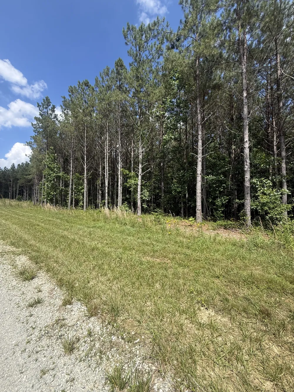251 Fox Ridge Rd Hohenwald, TN 38462