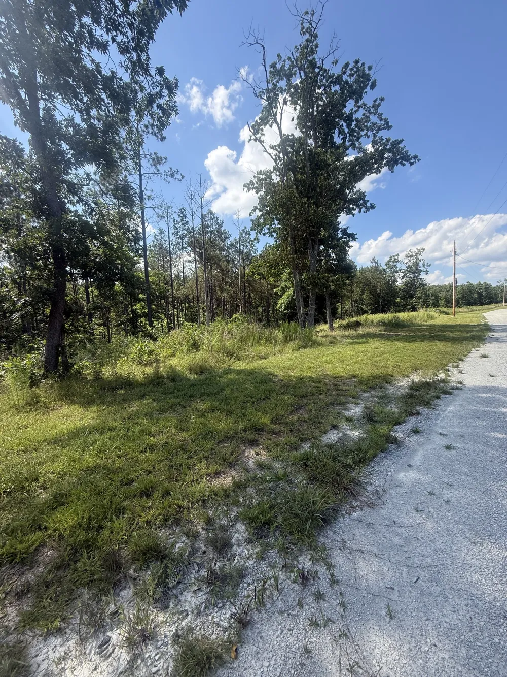251 Fox Ridge Rd Hohenwald, TN 38462