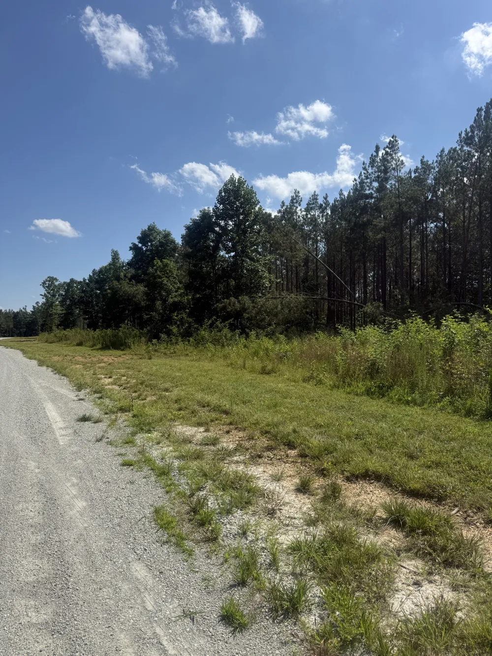 251 Fox Ridge Rd Hohenwald, TN 38462