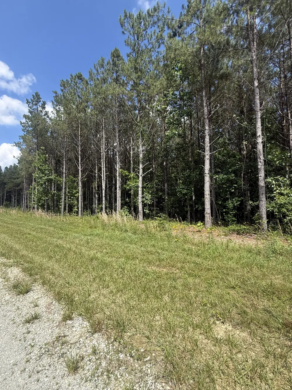 251 Fox Ridge Rd Hohenwald, TN 38462