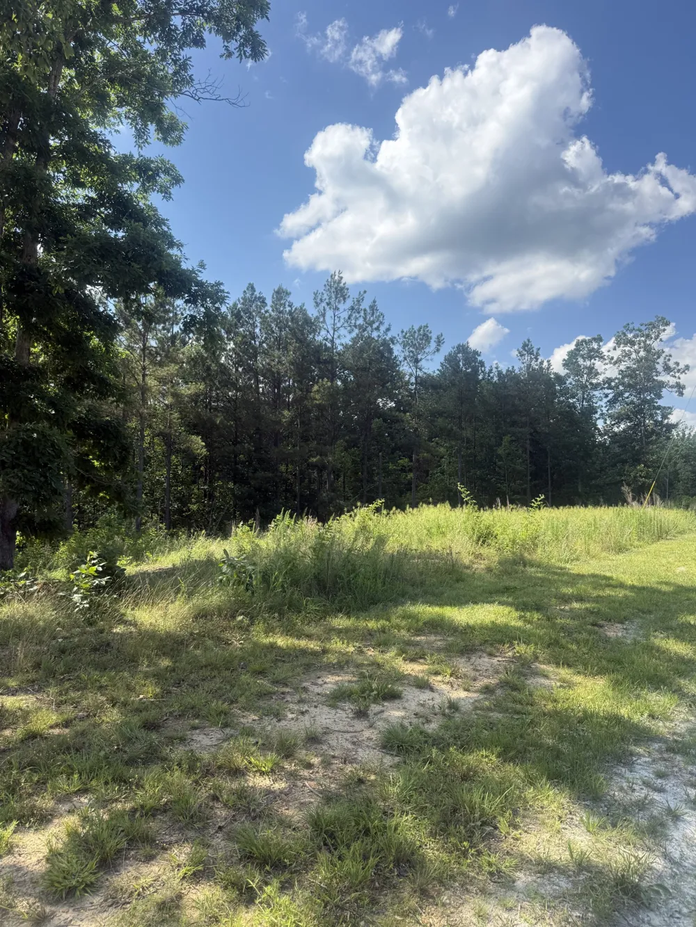 251 Fox Ridge Rd Hohenwald, TN 38462