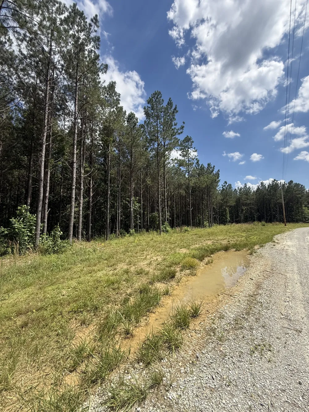 251 Fox Ridge Rd Hohenwald, TN 38462