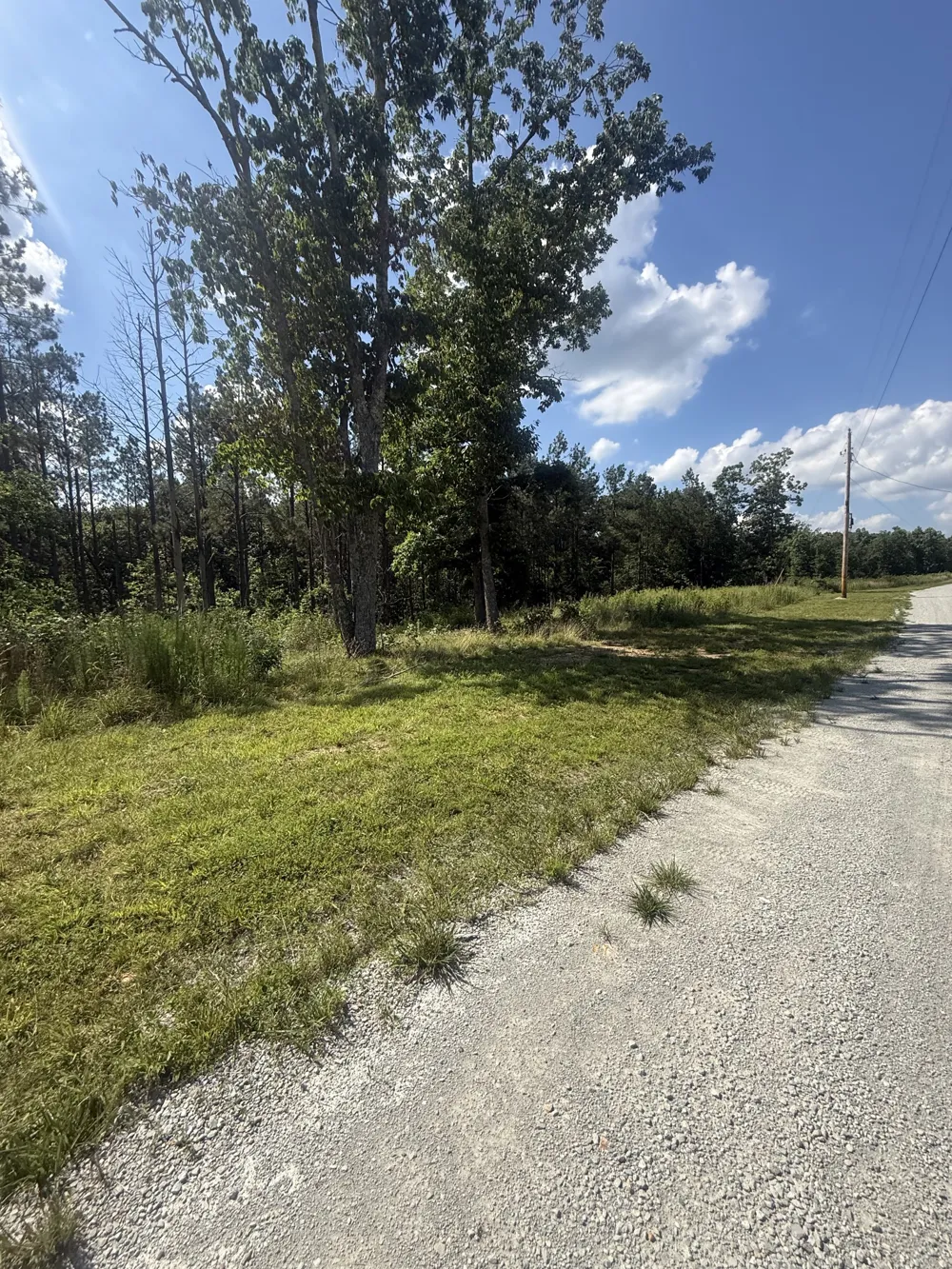 251 Fox Ridge Rd Hohenwald, TN 38462
