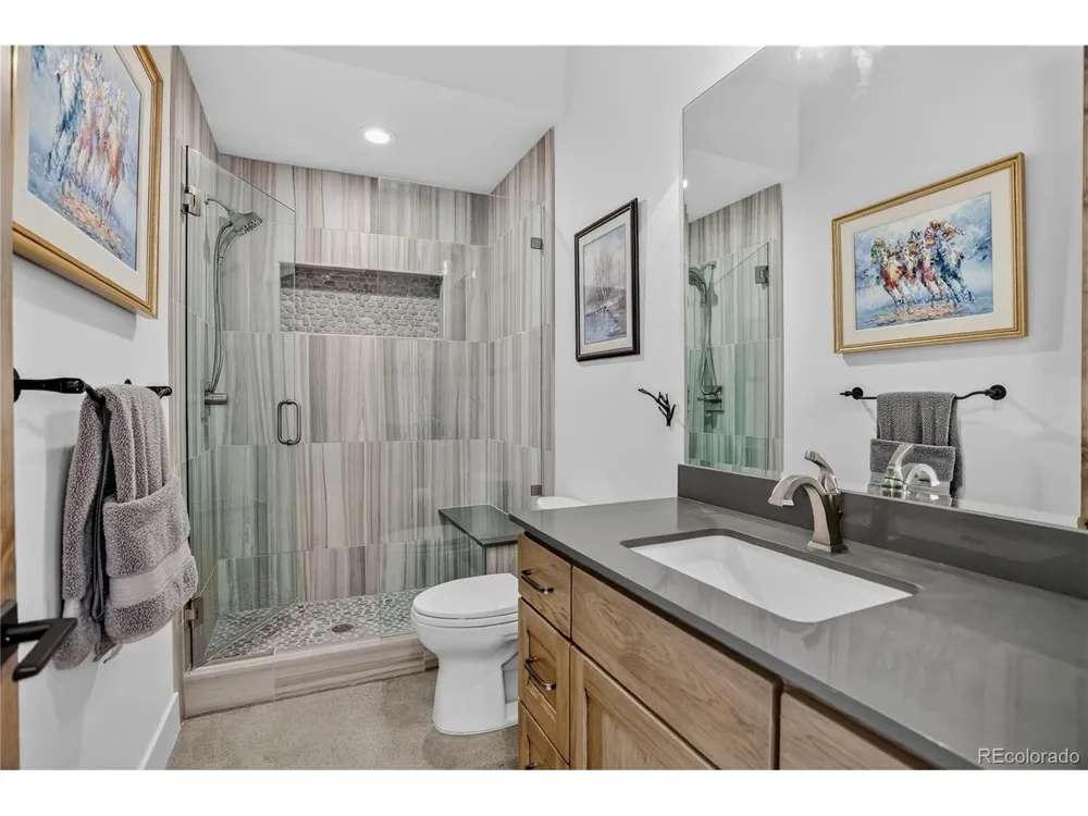 12461 Richmond Court Conifer, CO 80433
