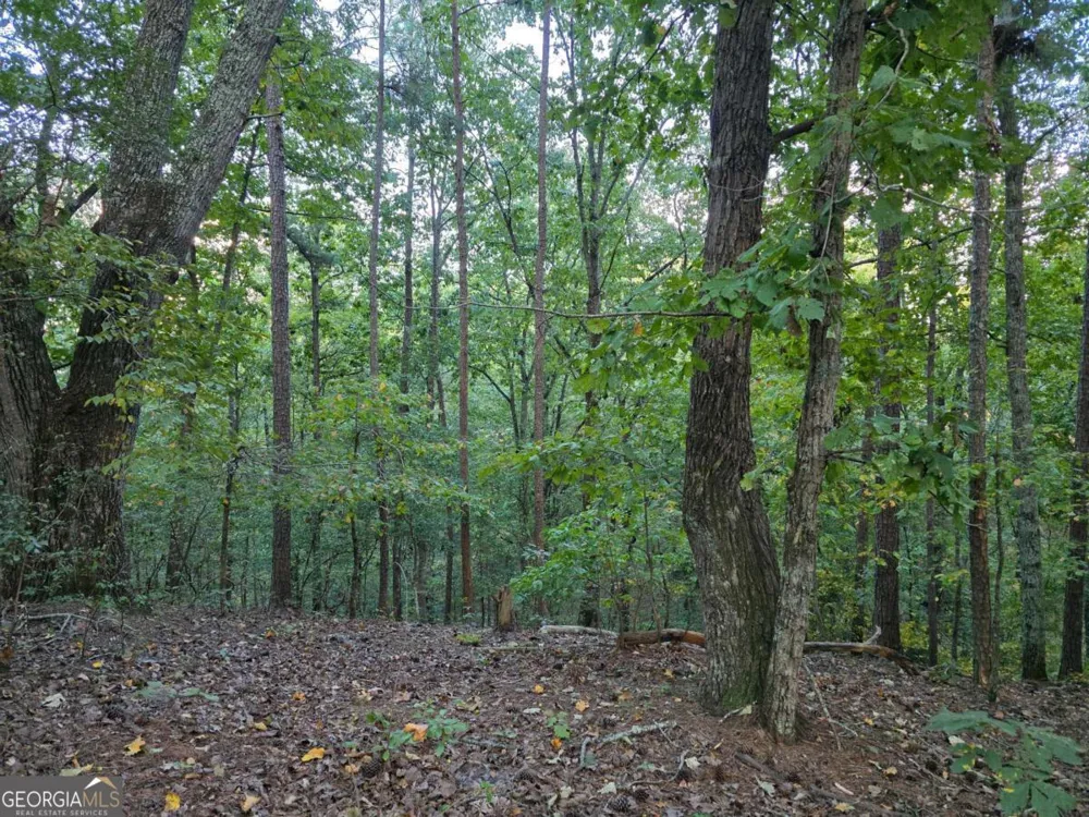 0 Old Goodie Mtn RD SE Cartersville, GA 30120