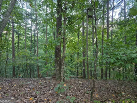 0 Old Goodie Mtn RD SE