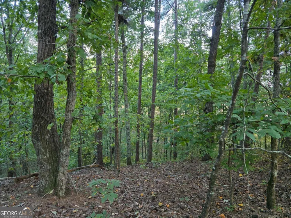 0 Old Goodie Mtn RD SE Cartersville, GA 30120