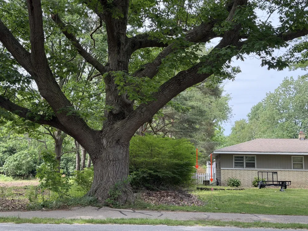 James Street Holland, MI 49424