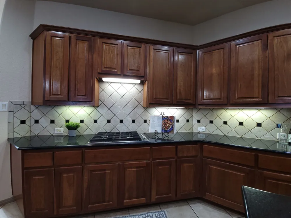 10028 Lisi Anne Drive Austin, TX 78717