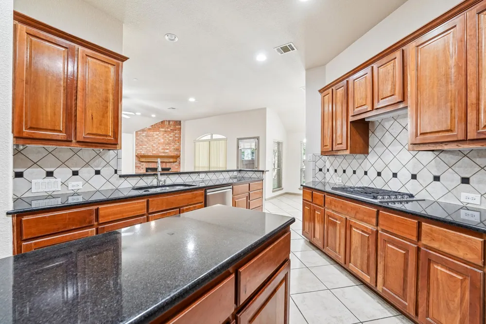10028 Lisi Anne Drive Austin, TX 78717