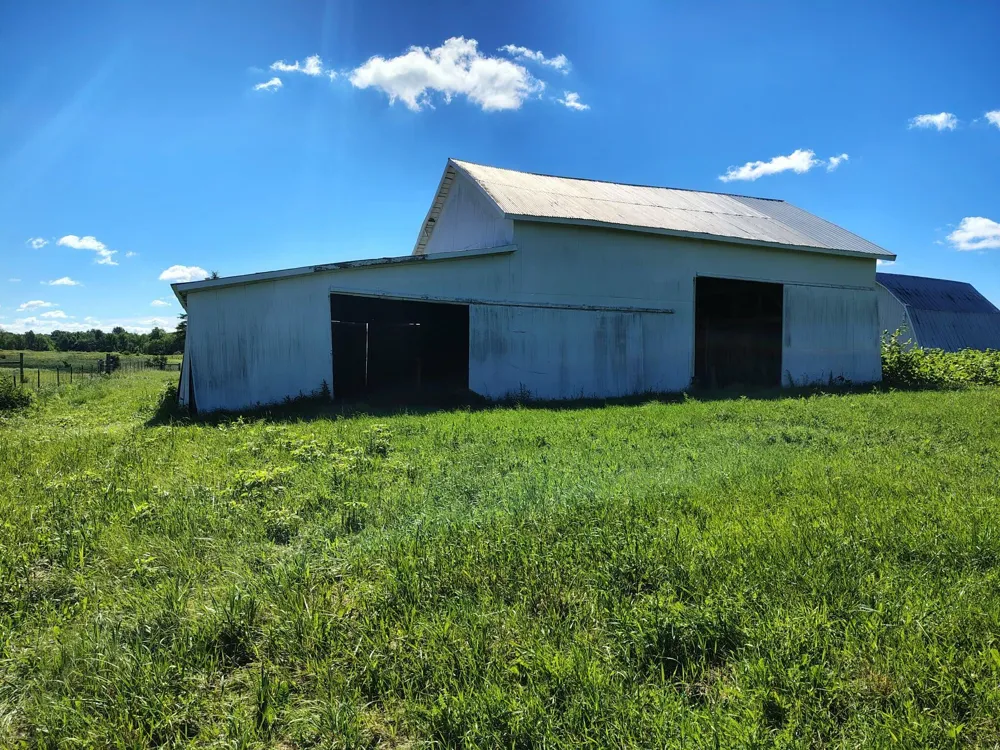 6923 Young Road Bellevue, MI 49021