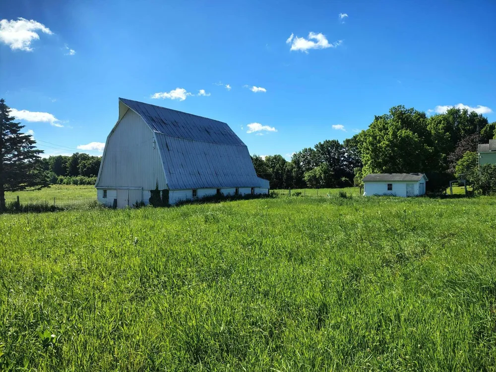 6923 Young Road Bellevue, MI 49021