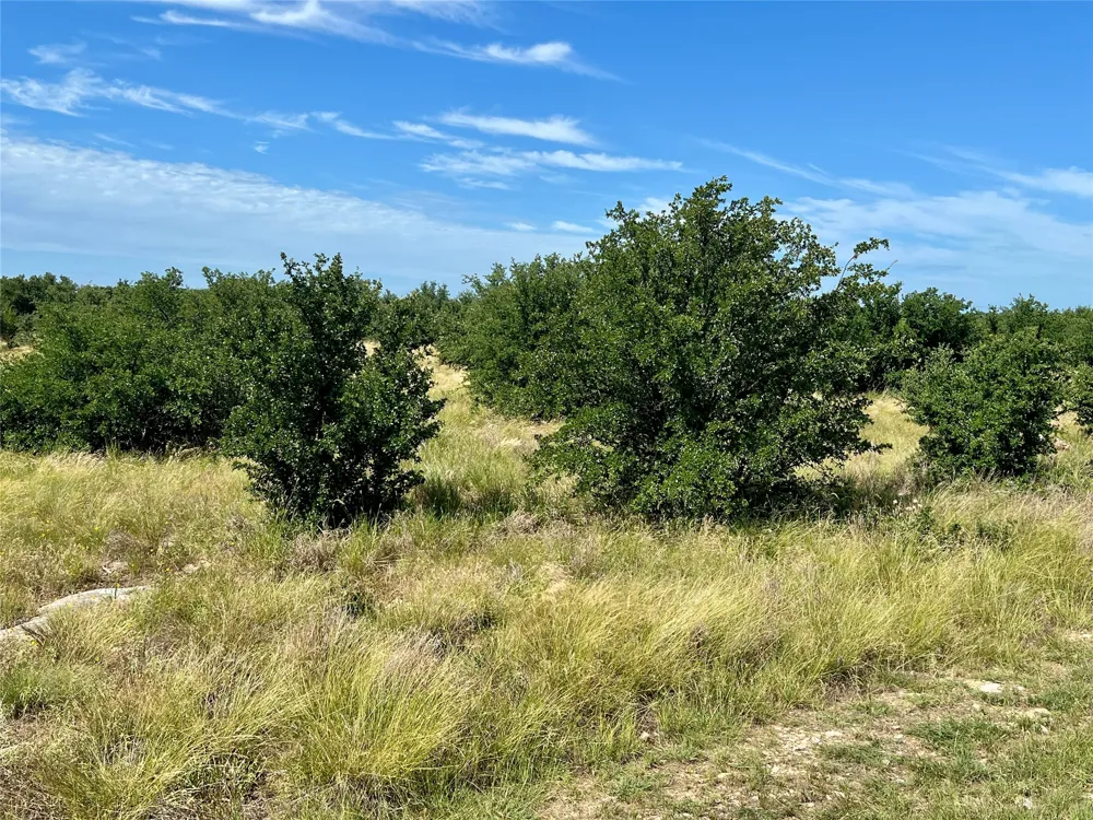 1180 Rawhide Ridge Graford, TX 76449