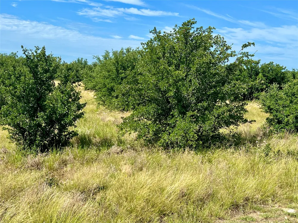 1174 Rawhide Ridge Graford, TX 76449