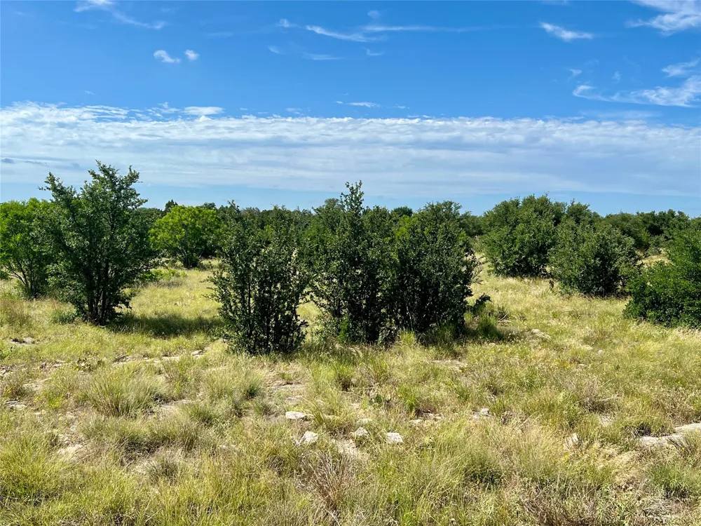 1174 Rawhide Ridge Graford, TX 76449