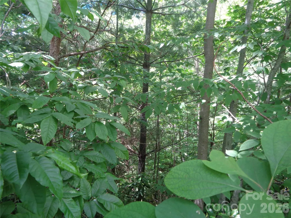 Lot 6 Peaks Creek Trail Maggie Valley, NC 28751