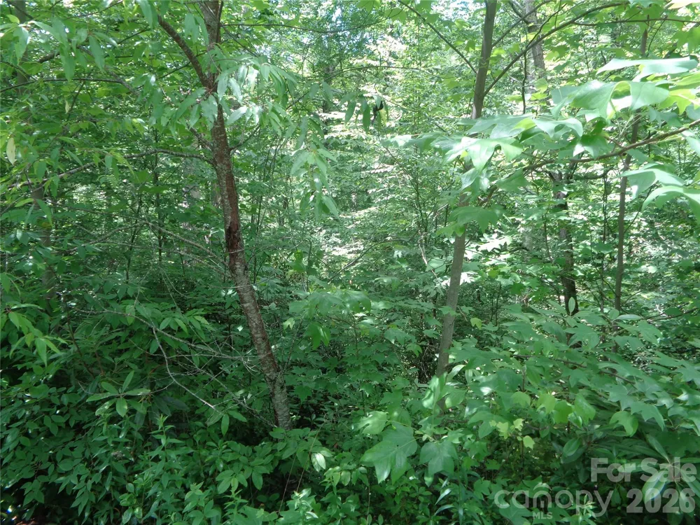 Lot 6 Peaks Creek Trail Maggie Valley, NC 28751