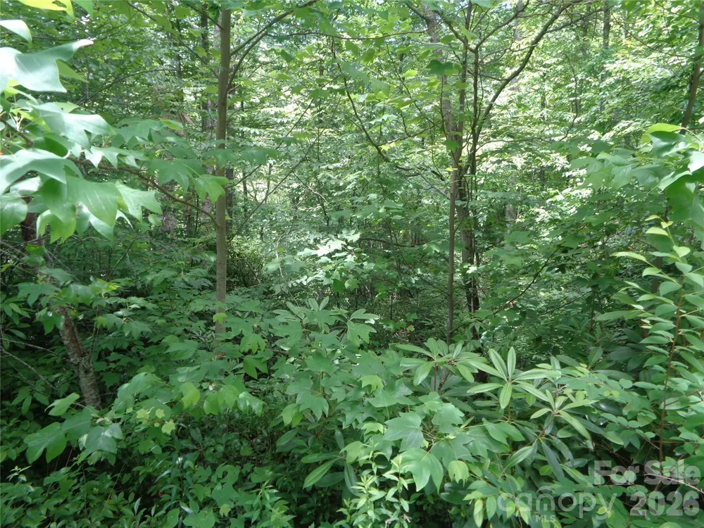 Lot 6 Peaks Creek Trail Maggie Valley, NC 28751
