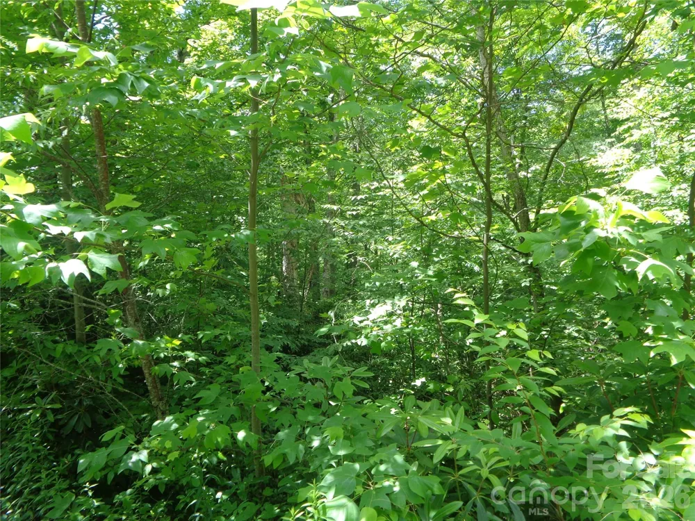 Lot 6 Peaks Creek Trail Maggie Valley, NC 28751