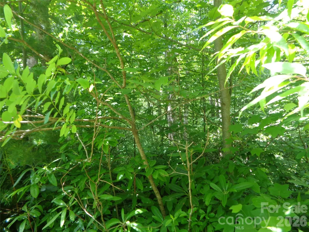 Lot 6 Peaks Creek Trail Maggie Valley, NC 28751