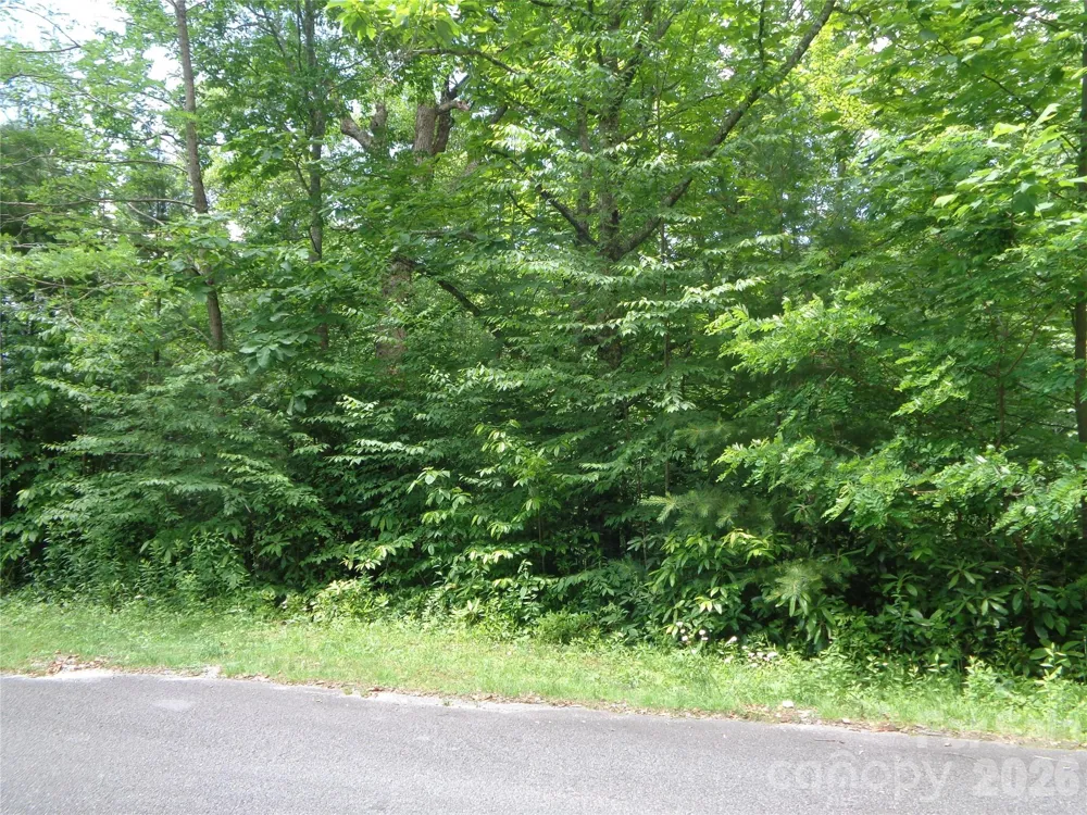 Lot 6 Peaks Creek Trail Maggie Valley, NC 28751