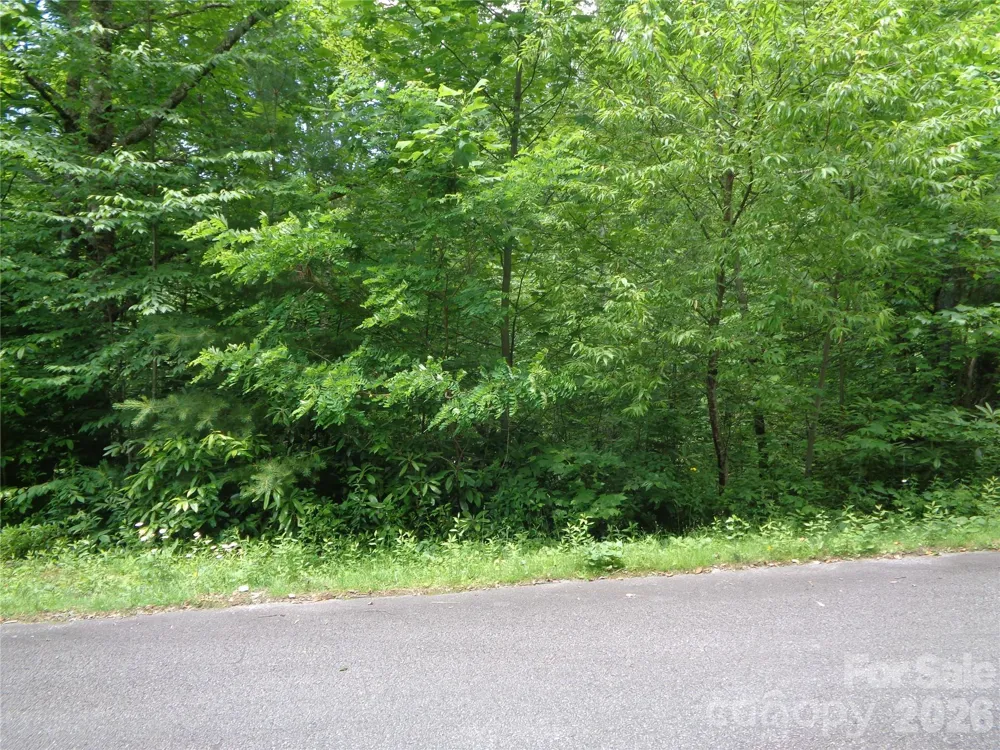 Lot 6 Peaks Creek Trail Maggie Valley, NC 28751