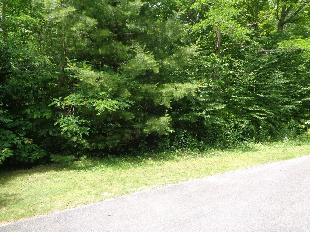 Lot 6 Peaks Creek Trail Maggie Valley, NC 28751