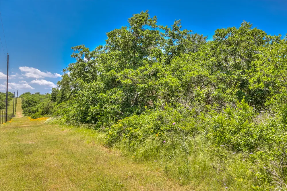 16967 CR 290 Zephyr, TX 76890