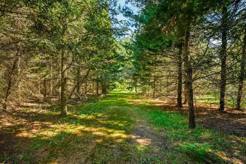 5515 E M 113 Kingsley, MI 49649
