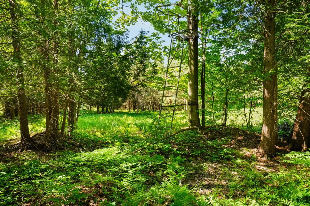 5515 E M 113 Kingsley, MI 49649