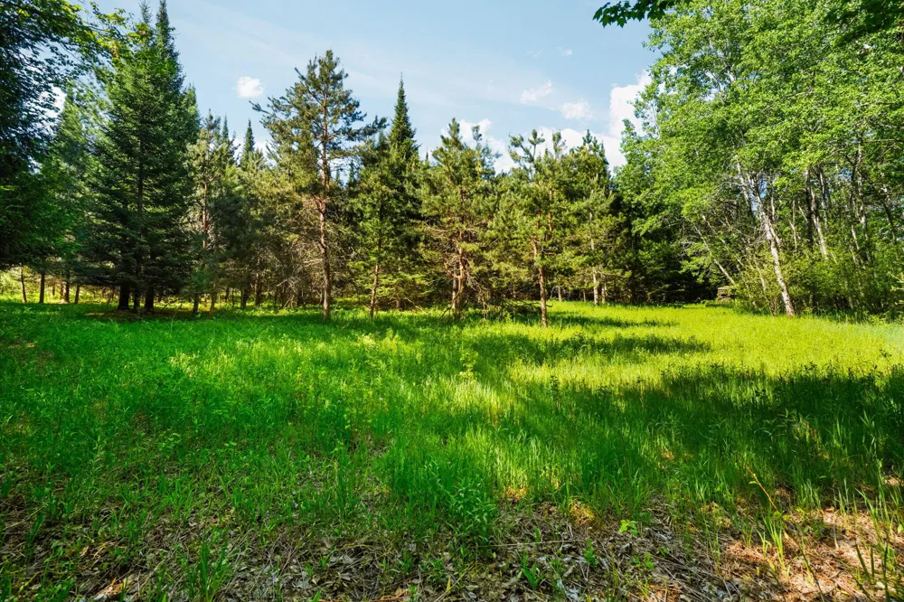 5515 E M 113 Kingsley, MI 49649