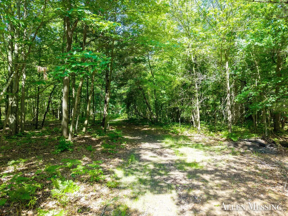 168th Avenue Spring Lake, MI 49456
