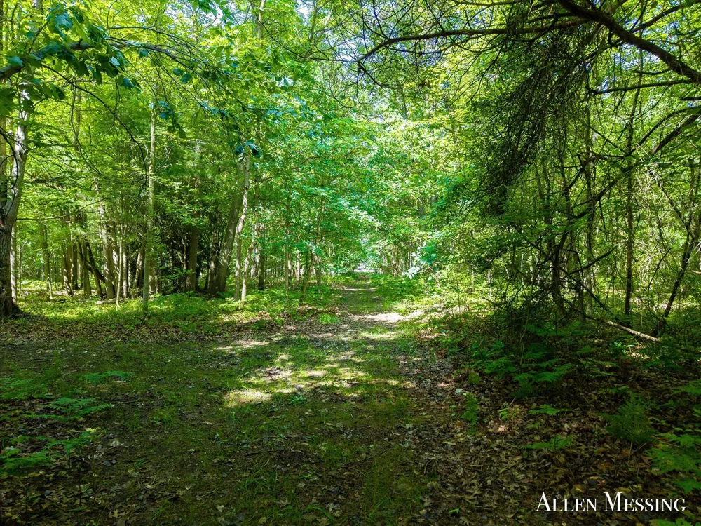168th Avenue Spring Lake, MI 49456