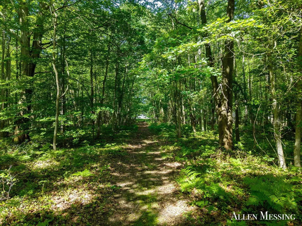 168th Avenue Spring Lake, MI 49456