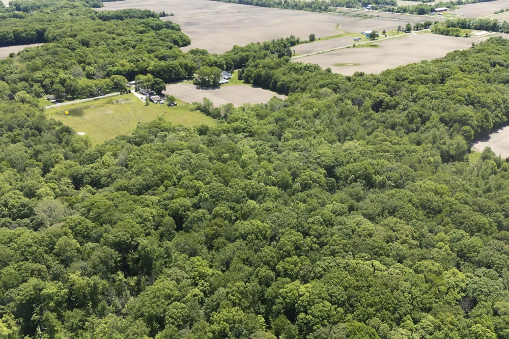2 Lakeside Road New Buffalo, MI 49117