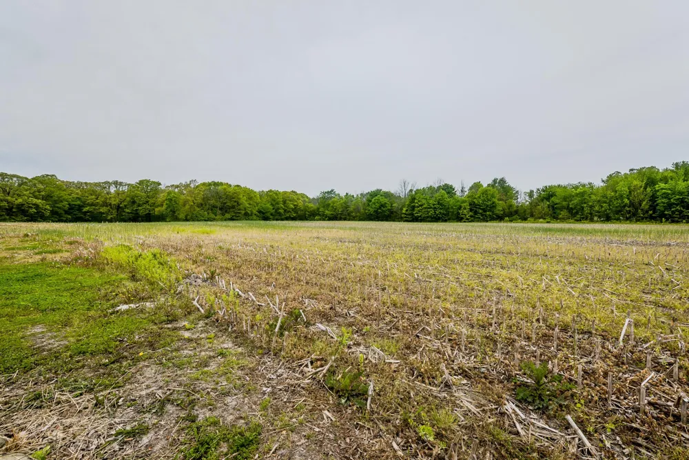 2 Lakeside Road New Buffalo, MI 49117