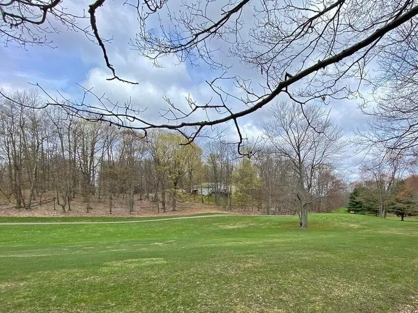 9372 E Circle Drive Canadian Lakes, MI 49346