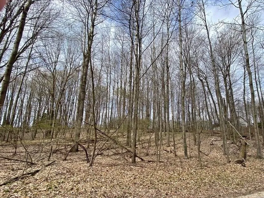 9372 E Circle Drive Canadian Lakes, MI 49346