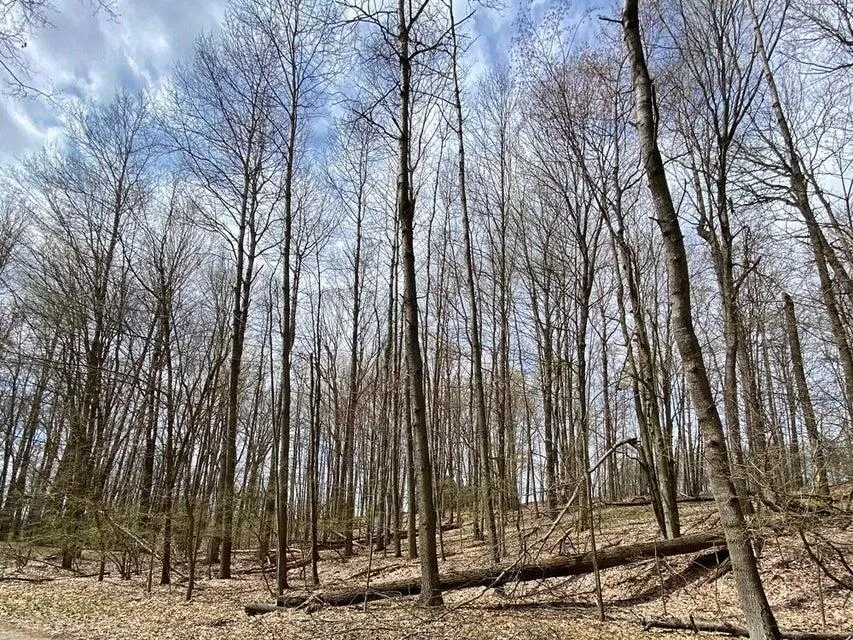 9372 E Circle Drive Canadian Lakes, MI 49346