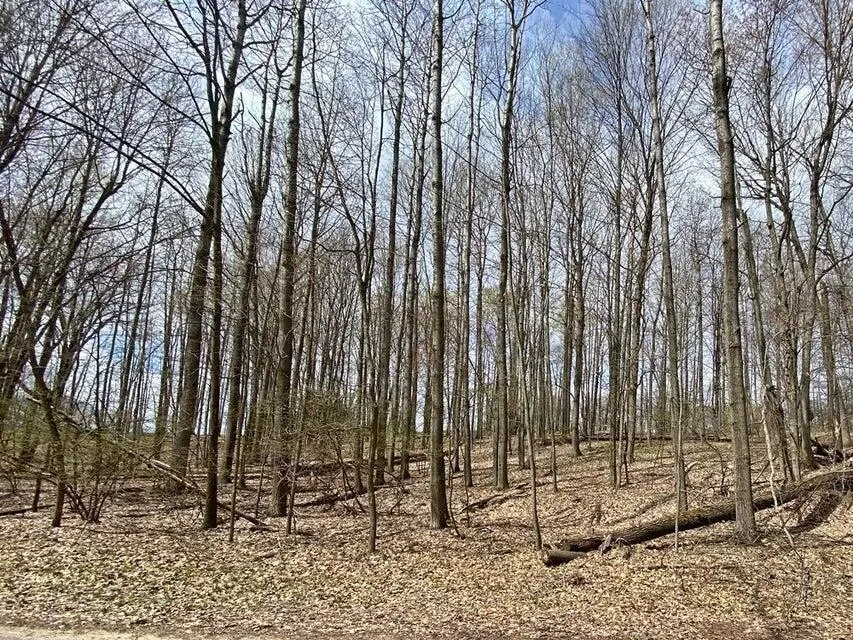 9372 E Circle Drive Canadian Lakes, MI 49346