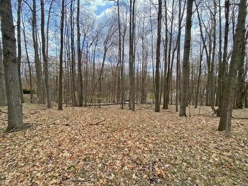 9372 E Circle Drive Canadian Lakes, MI 49346